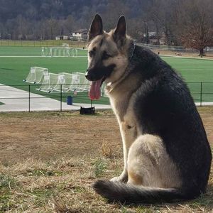 Meet your Posher, Miranda